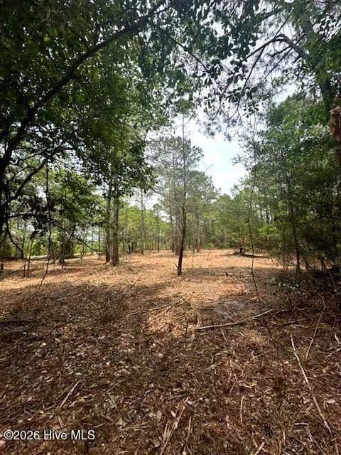 Property from 2913 James Street SW - KW - Supply, North Carolina, 28462