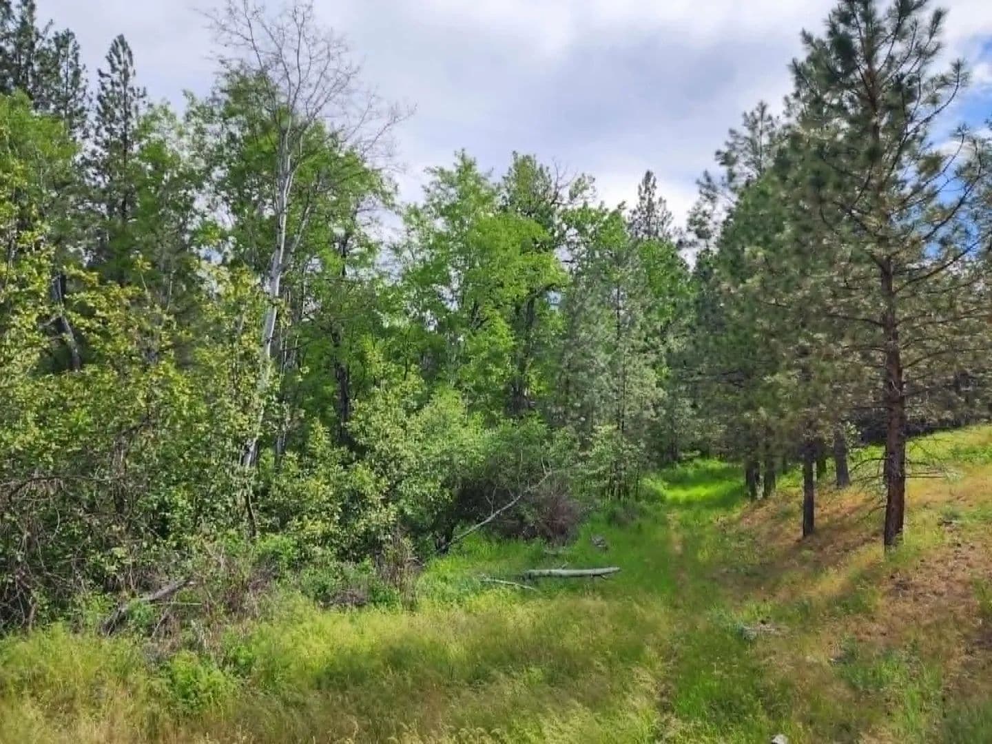 Property from NHN Old Hot Springs Road - KW - Hot Springs, Montana, 59845