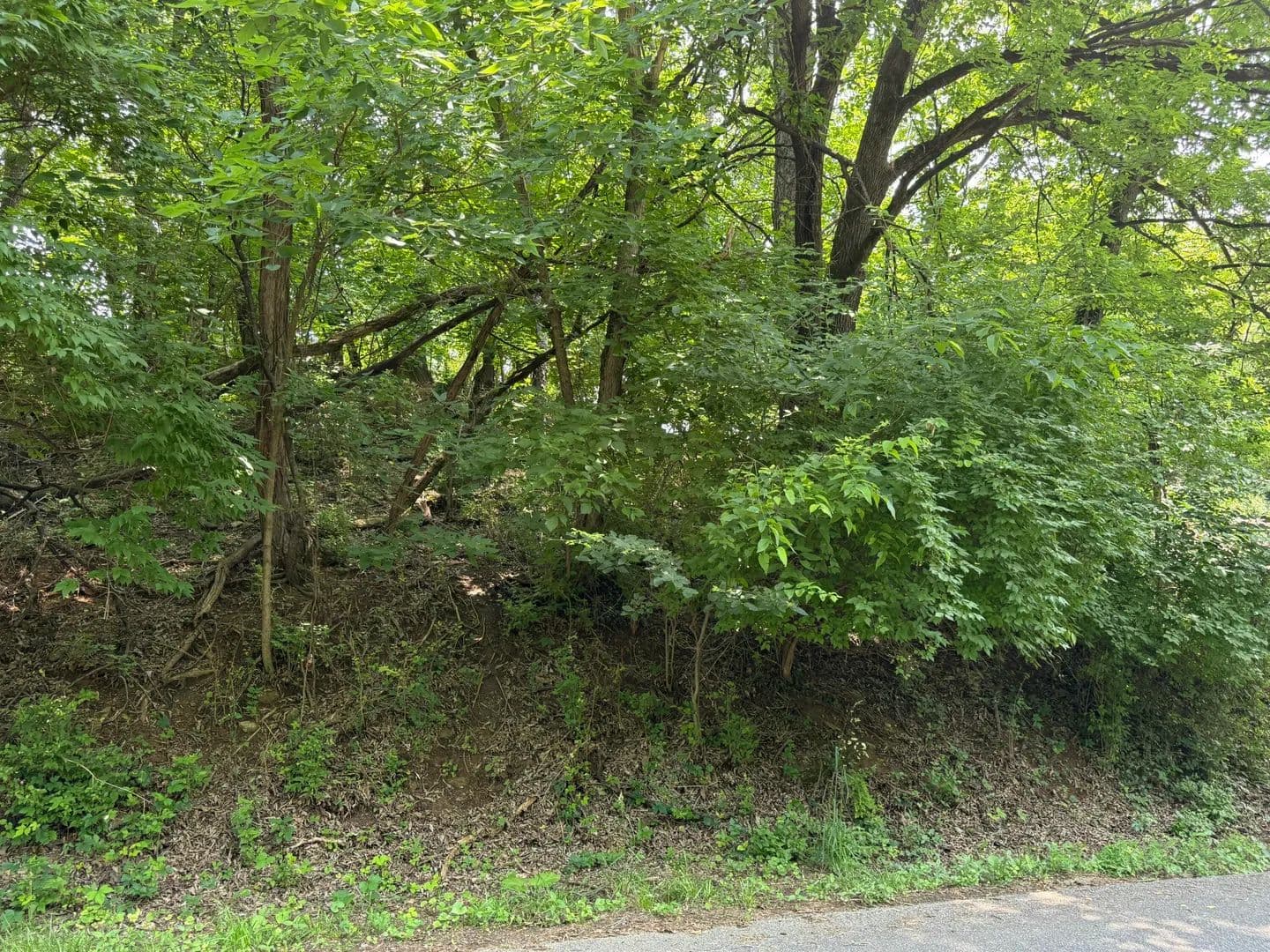 Property from 0 Chestnut ST - KW - Vinton, Virginia, 24179