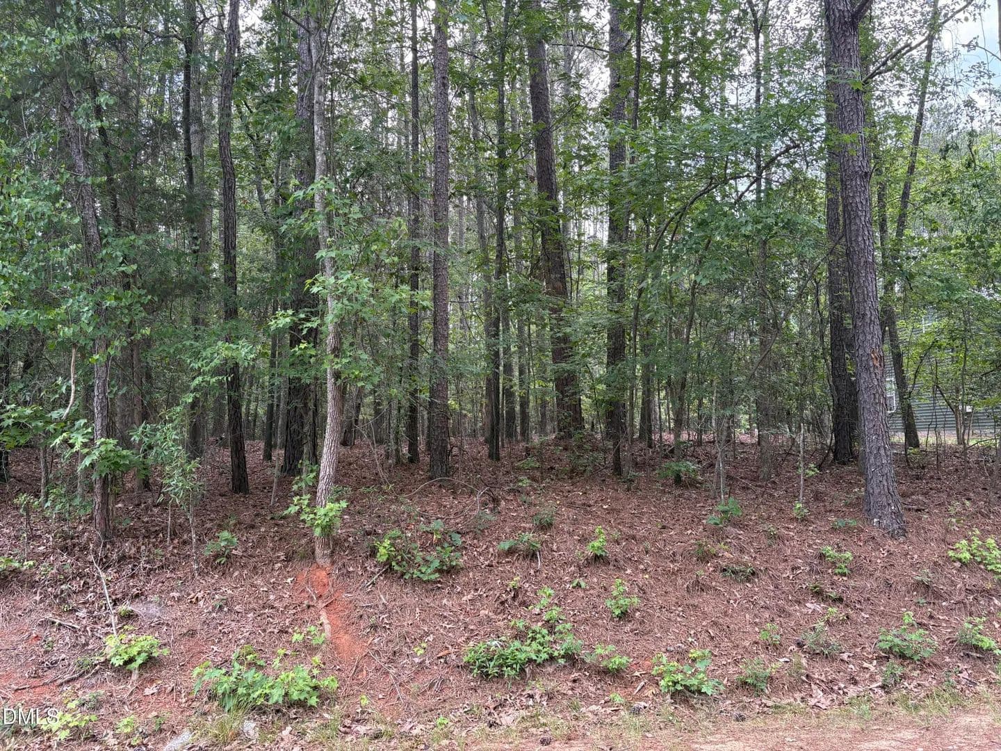 Property from 147 Sequoia Drive - KW - Louisburg, North Carolina, 27549