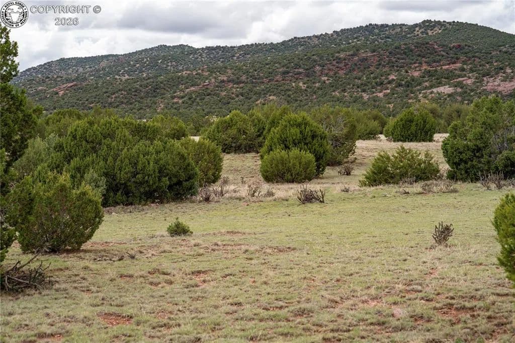 Property from TBD Lot 4 Iron Handle Road - KW - Penrose, Colorado, 81240