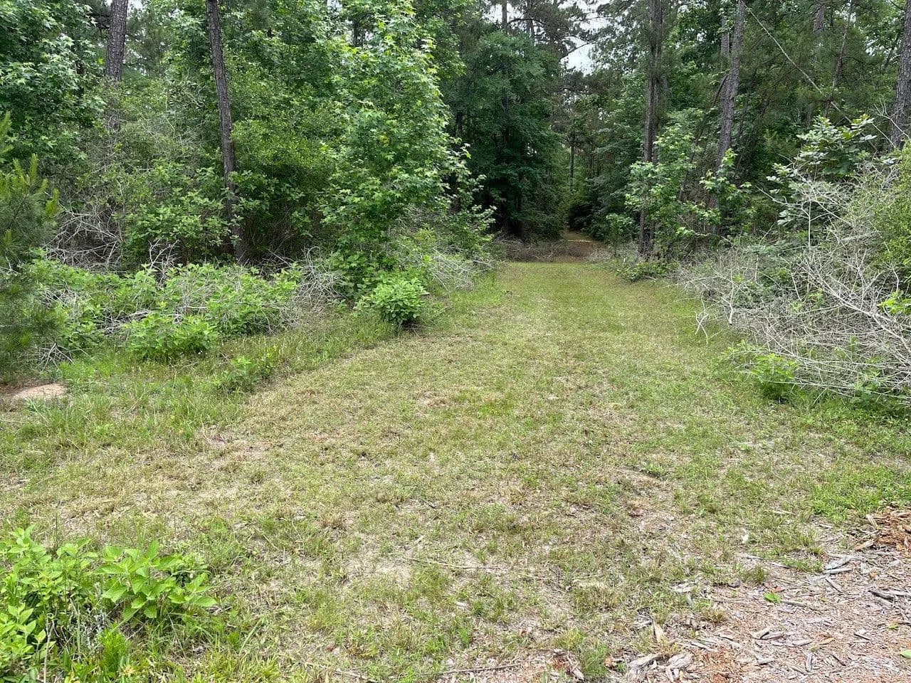 Property from 11544 Inspiration Drive - KW - Willis, Texas, 77378