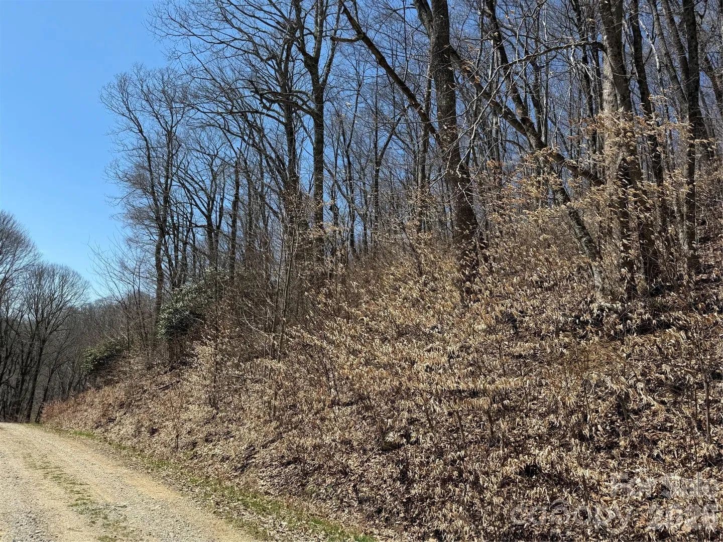 Property from 000 Granny Shepherd Road #Lot 3 - KW - Mars Hill, North Carolina, 28754