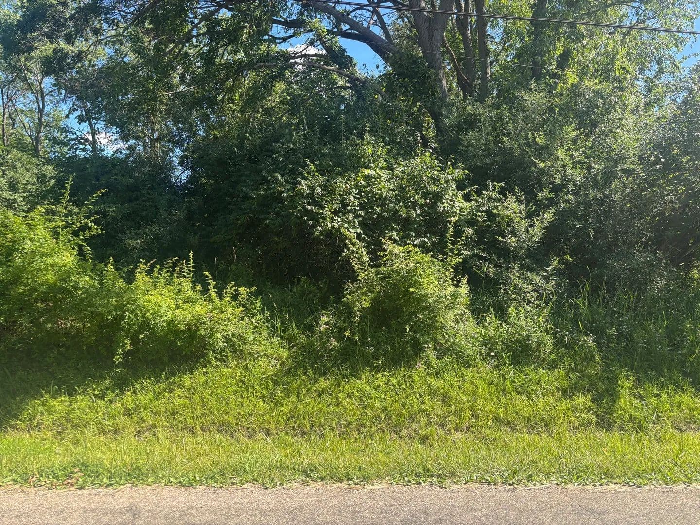 Property from 1574 Lake Wildwood Drive - KW - Varna, Illinois, 61375