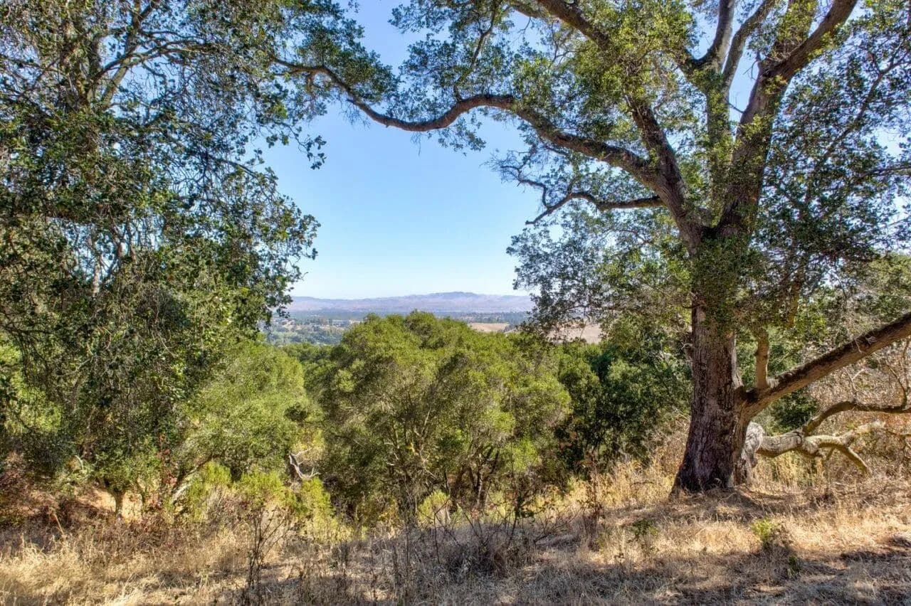 Oak Tree Ridge - land for sale