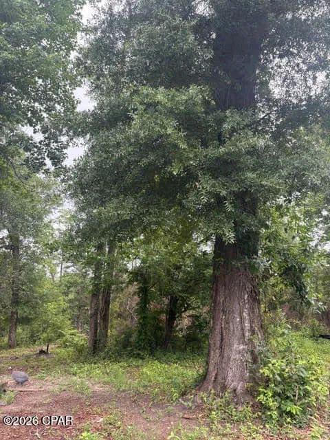 Property from 2435 Douglas Pond Road - KW - Marianna, Florida, 32446