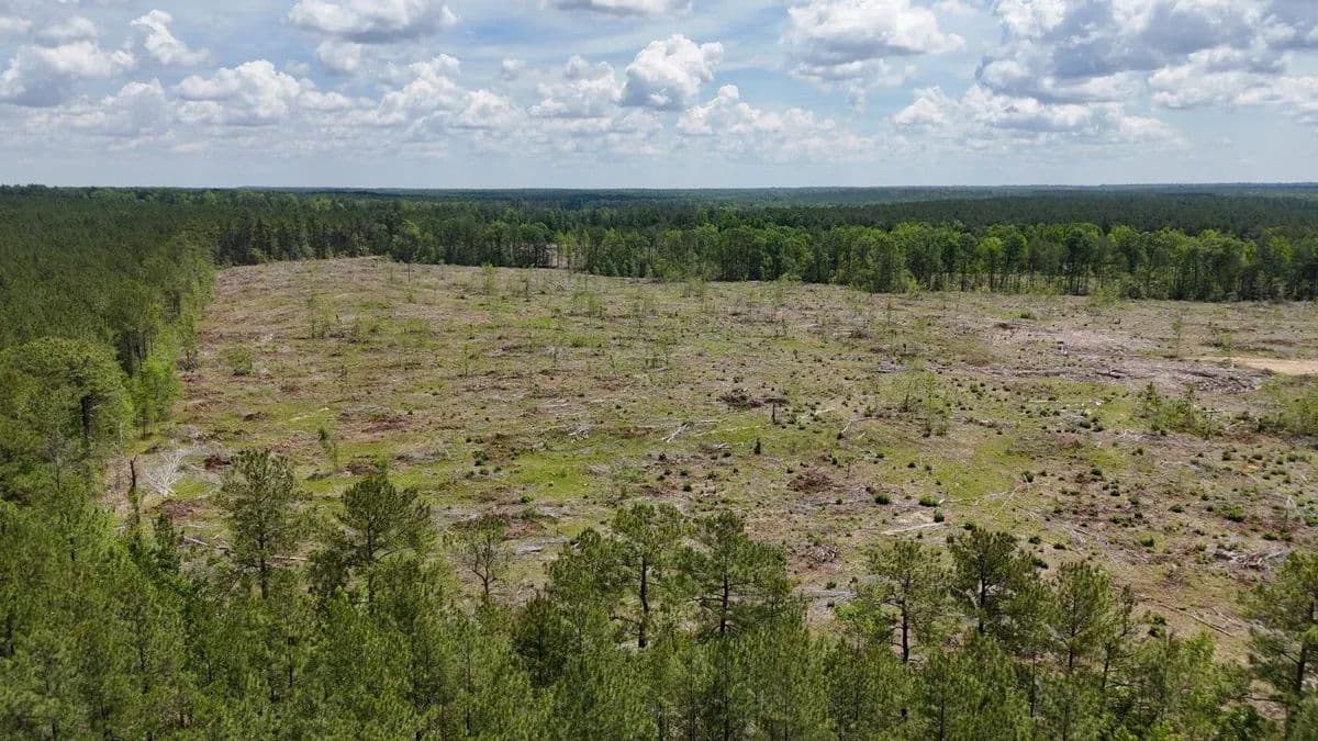 Knotty Pine Tract - Camden, South Carolina, 29175