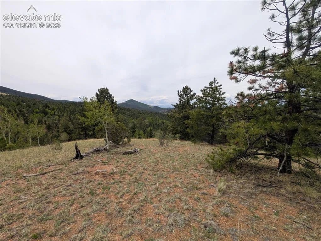 1.52 Acres of Land for Sale in Cripple Creek, CO - Cripple Creek, Colorado, 80813