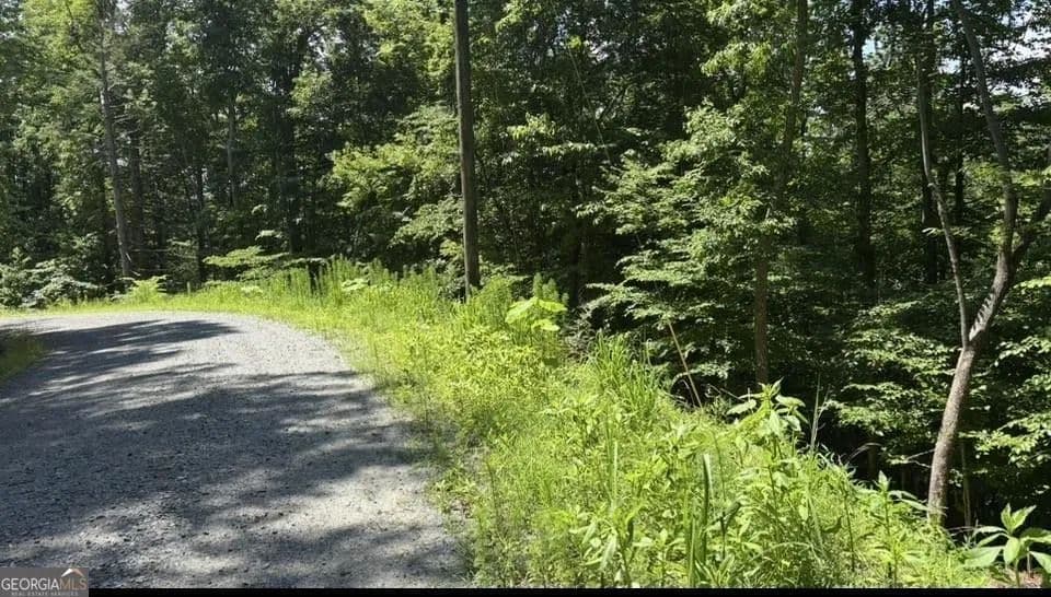 Property from LOT 780 Omen Circle - KW - Ellijay, Georgia, 30540