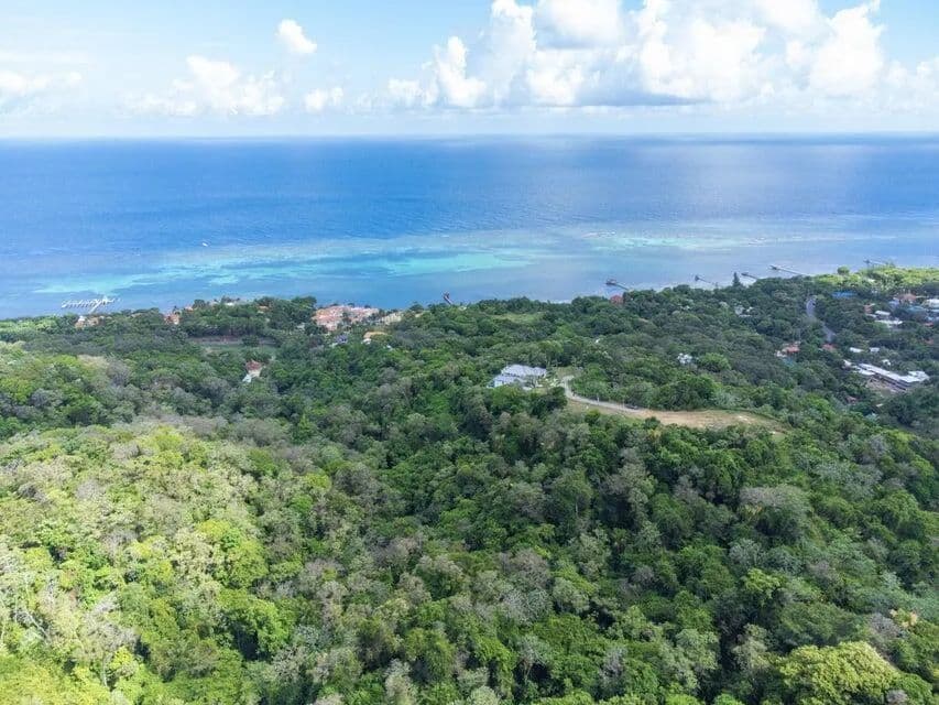 Oceanview Lot 103 - 1.01 Acres Lawson Rock - land for sale