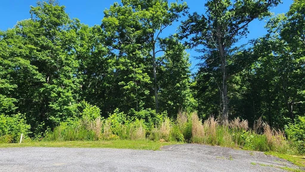 Property from lot 112 Jakes Landing Overlook - KW - Ellijay, Georgia, 30540