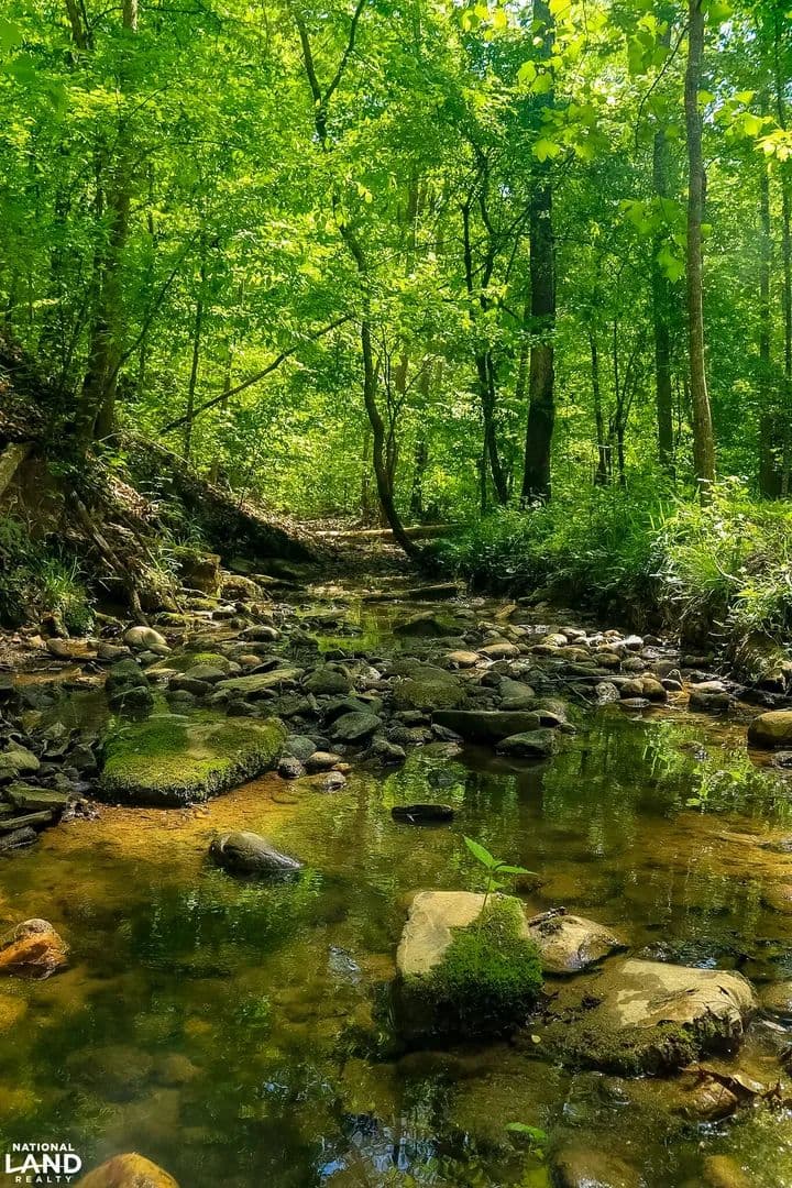 Sunset Harbor Lakefront Acreage - Dandridge, Tennessee, 37725