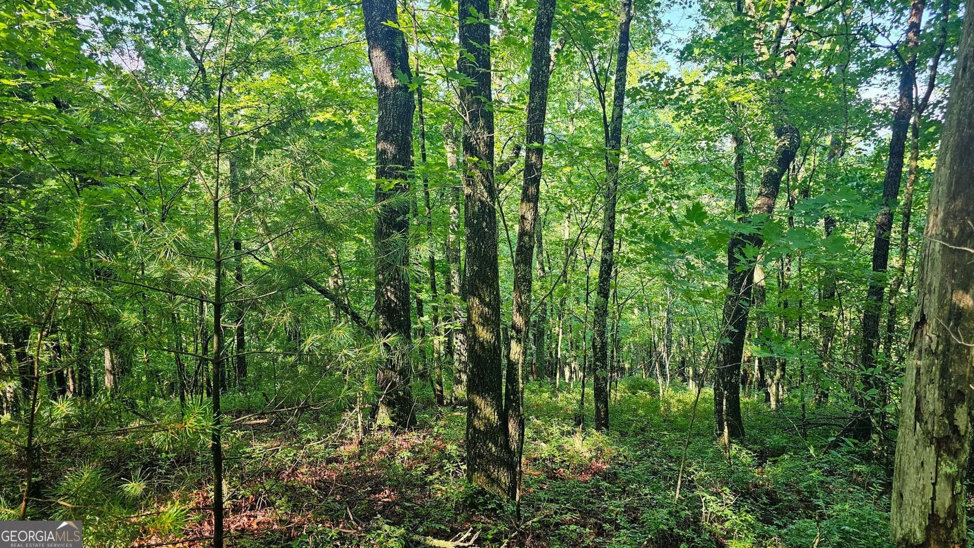 8 Acres of Land for Sale in Tiger, GA - Tiger, Georgia, 30576