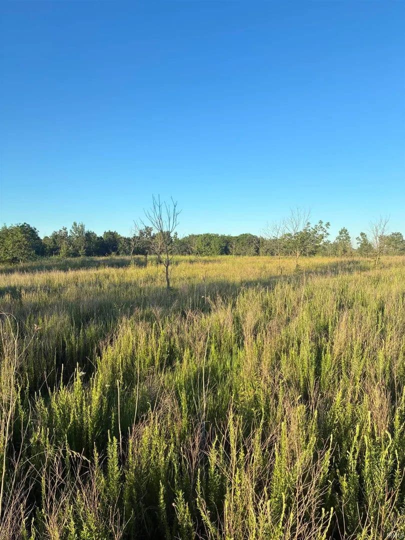 Vacant Land in Elberfeld - Elberfeld, Indiana, 47613