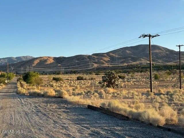 Property from Barrel Springs And Emden Rd - KW - Littlerock, California, 93543