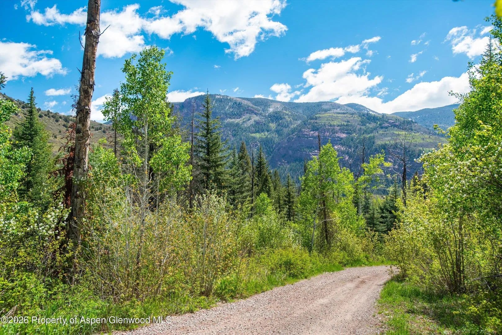 35 Acres of Land for Sale in Redstone, Colorado - Redstone, Colorado, 81623