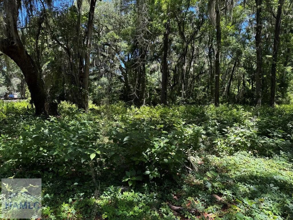 Property from 73 Tolomato Island Drive - KW - Townsend, Georgia, 31305