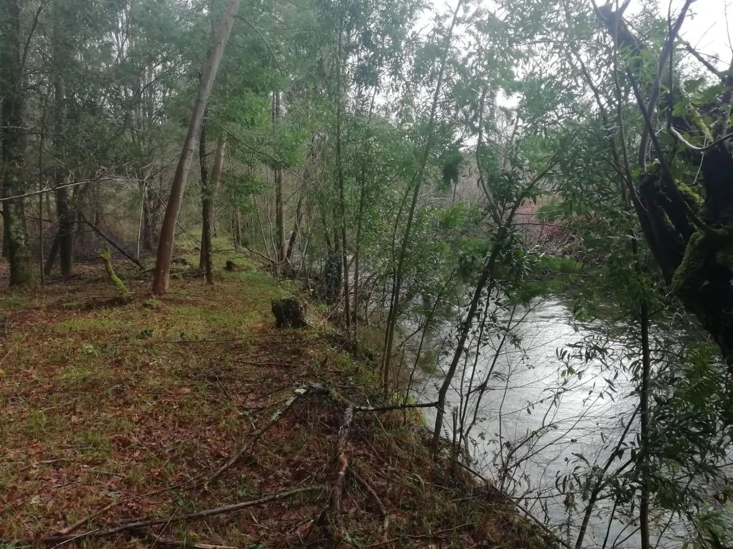 2419.4 Acres of Land for Sale in Gondar e Orbacém, Caminha - land for sale