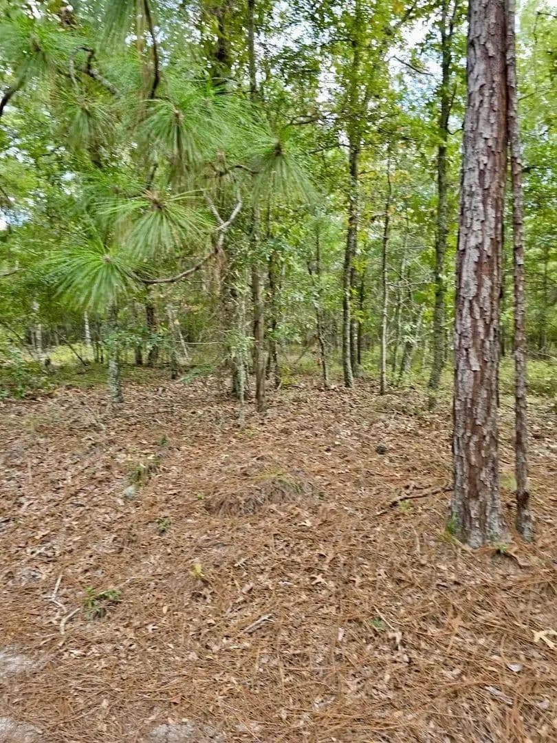 Property from 317 Richard Johnson Road - KW