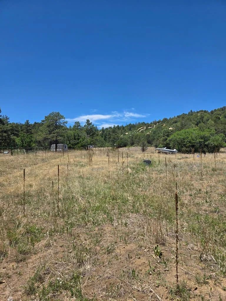 82.51 Acres of Land for Sale in Bon Carbo, CO - Colorado, 81024
