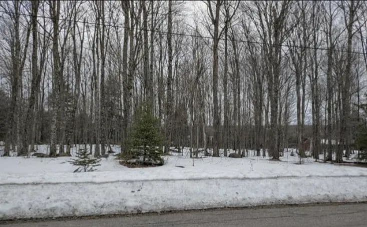 Iron County Waterfront Lot with 10 Acres 50203537 - , Michigan, 49935