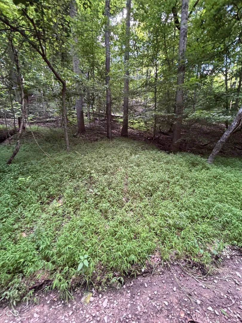 0.86 Acres of Land for Sale in Nashville, IN - Nashville, Indiana, 47448