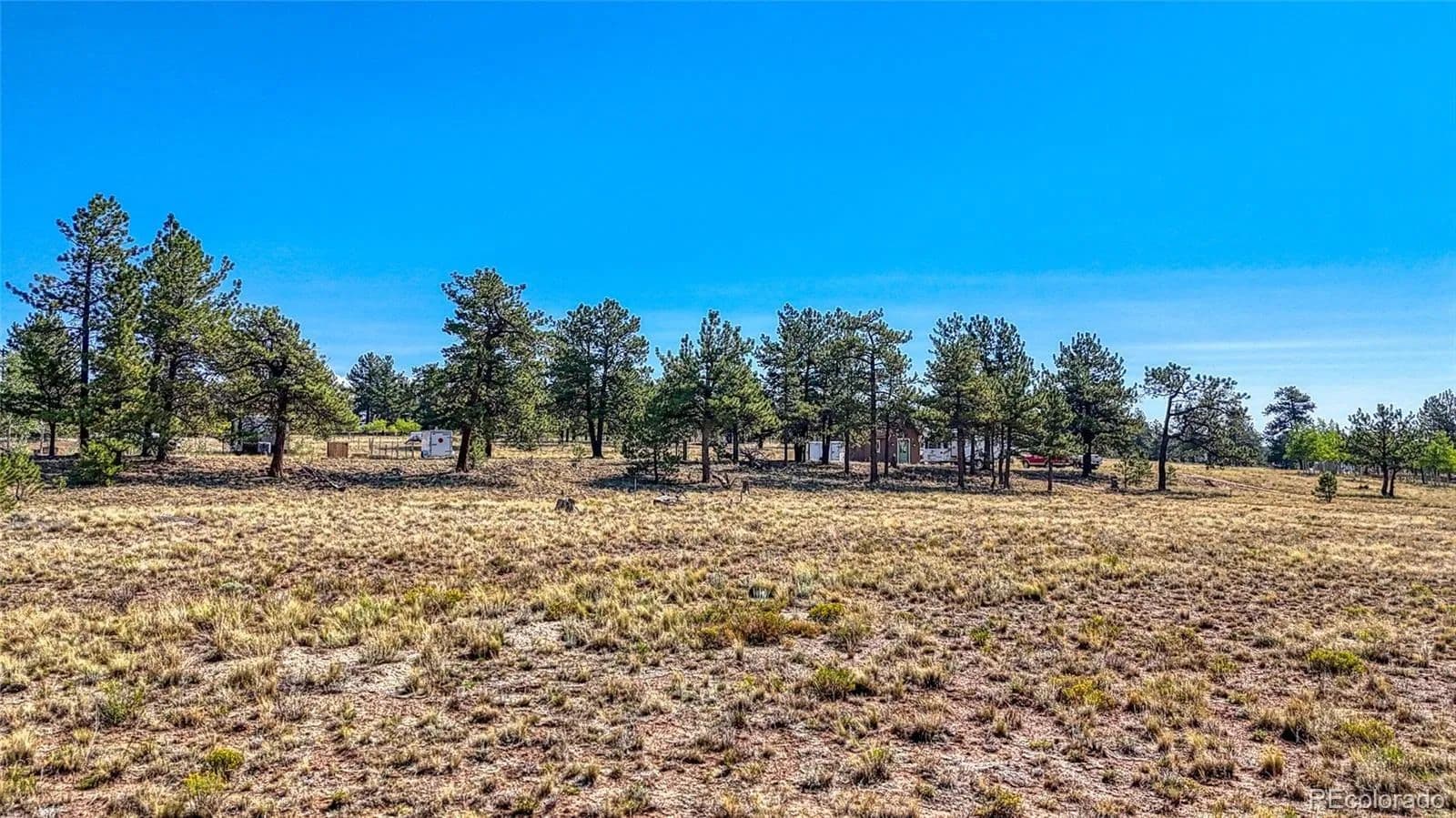 Lots & Land-Other in Hartsel - Hartsel, Colorado, 80449