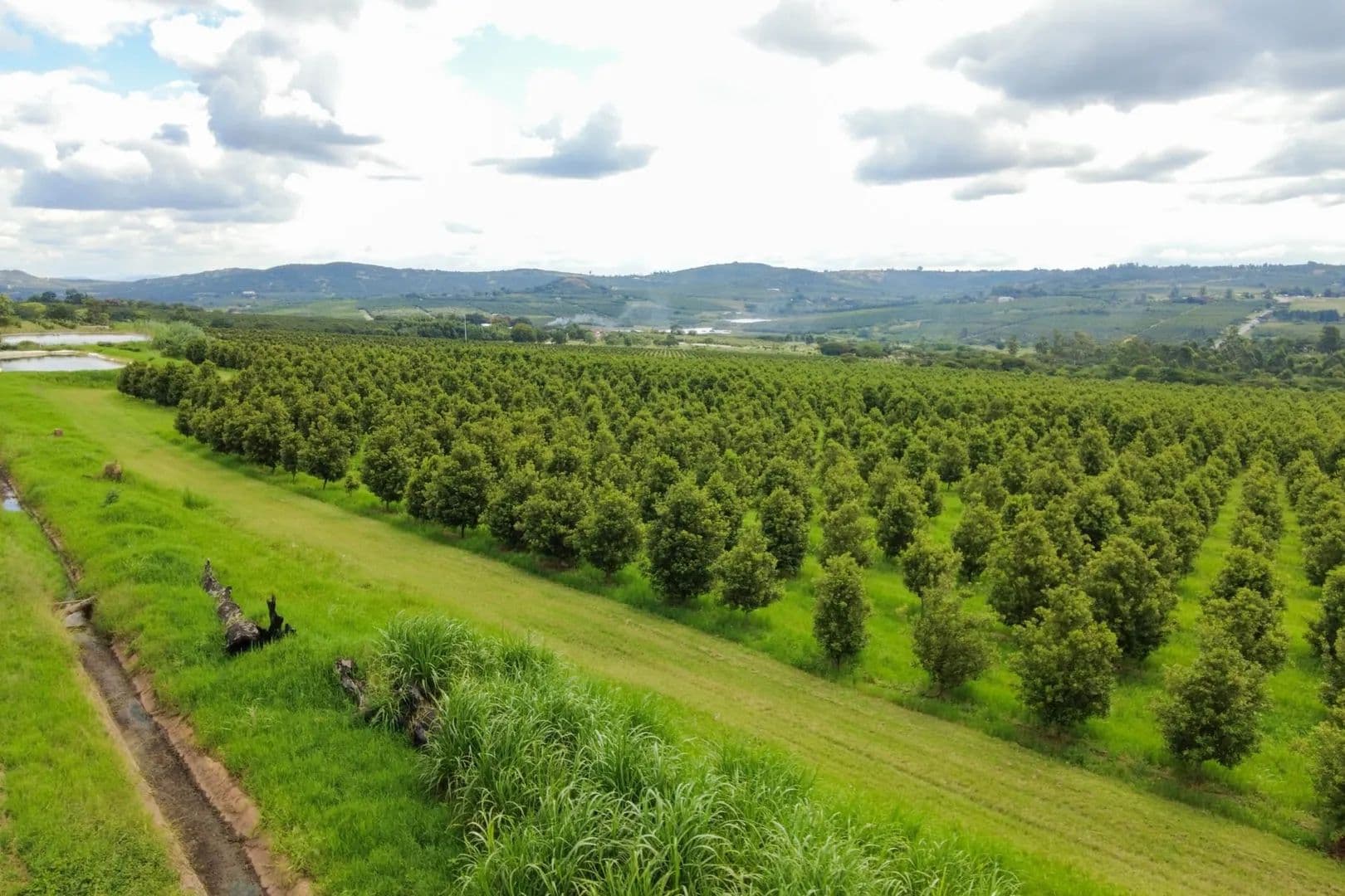 Land for Sale in White River, Mpumalanga - land for sale