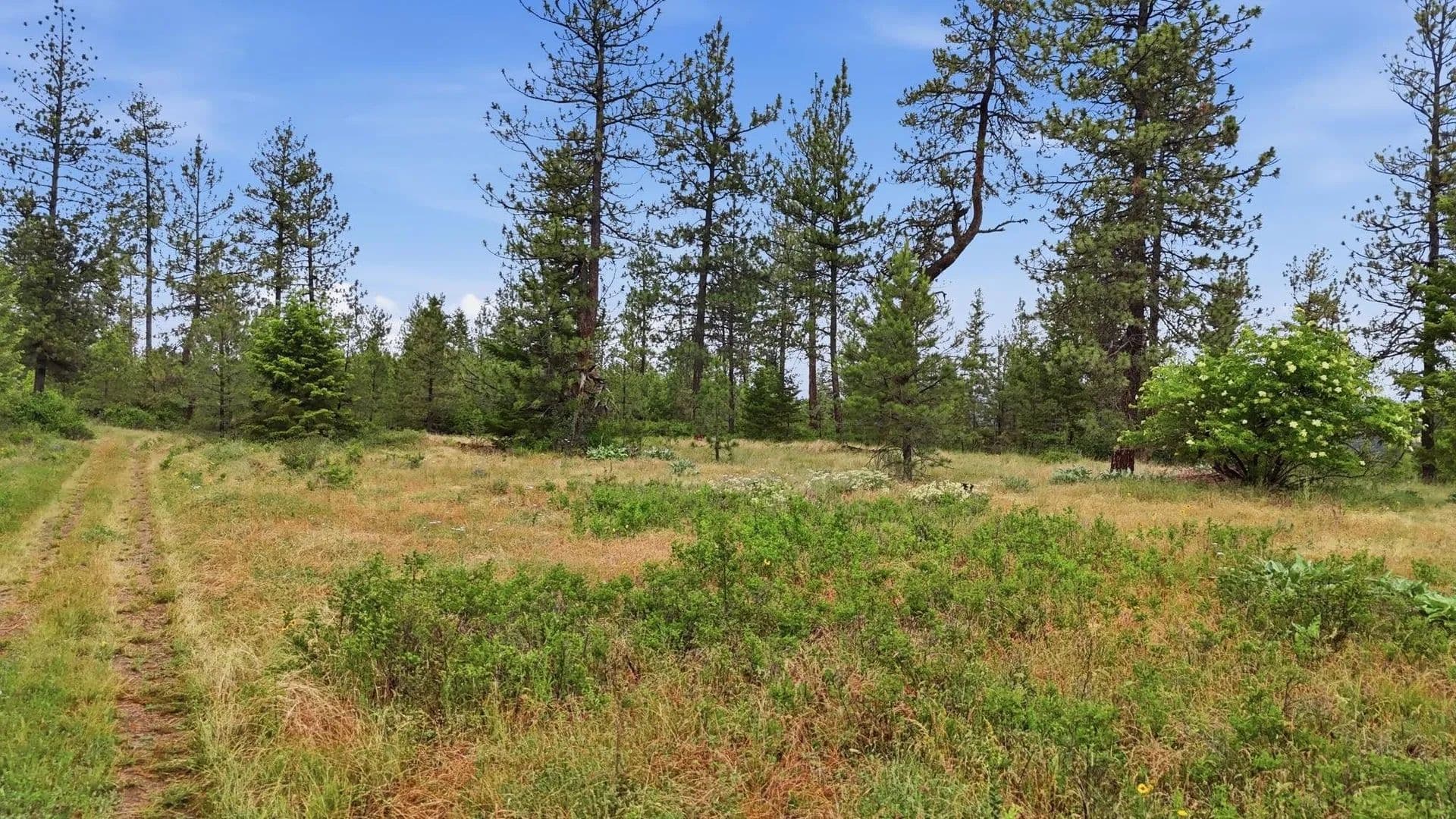 Property from XXX W Highland Rd - KW - Nine Mile Falls, Washington, 99026