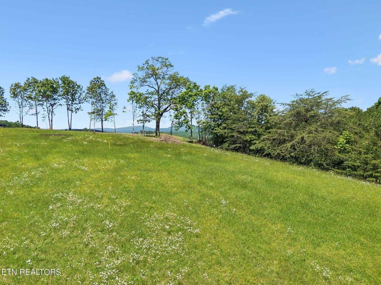 Property from 1460 Big Neck Rd - KW - Grandview, Tennessee, 37337
