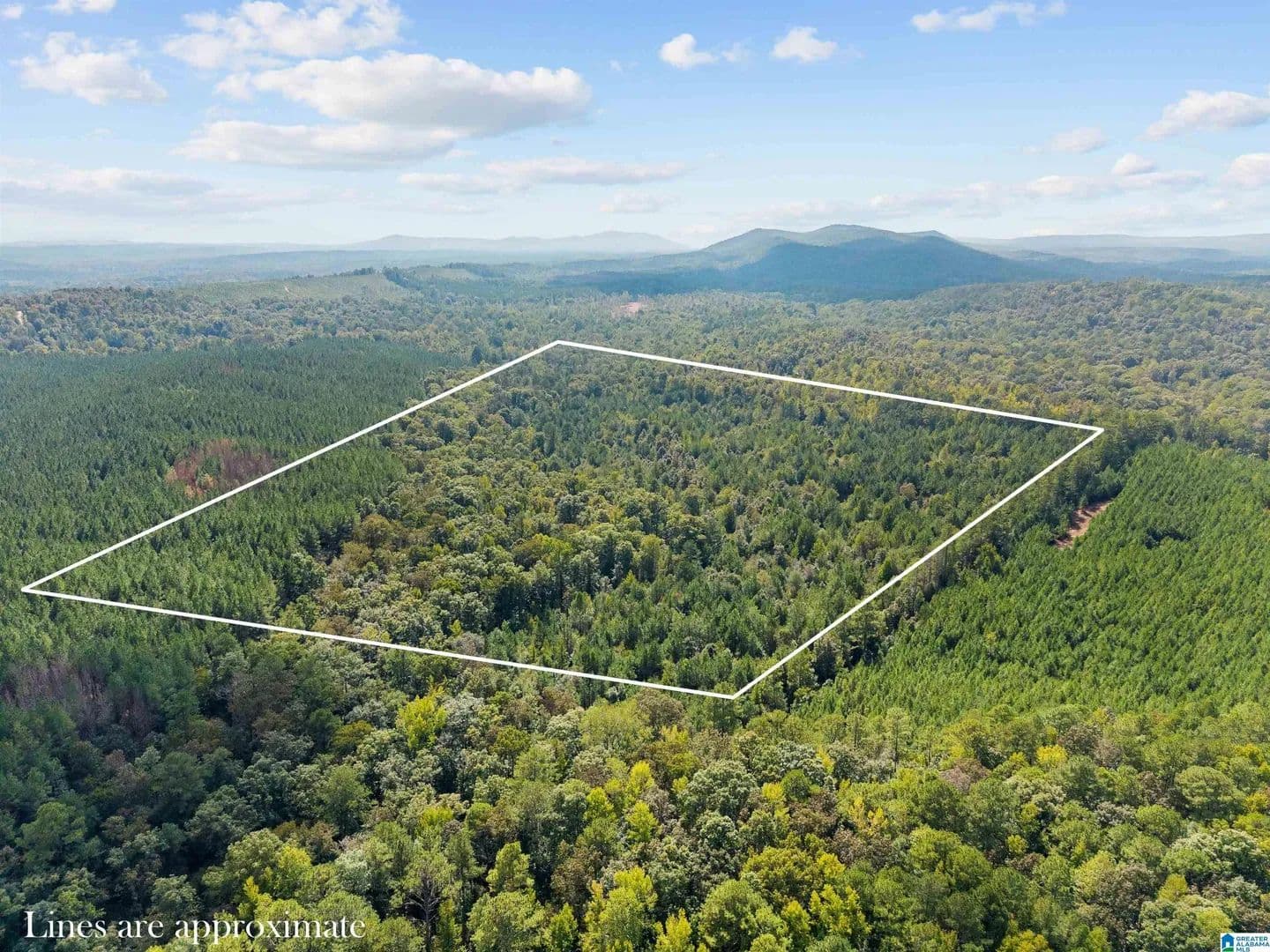 40 Acres of Land for Sale in PELL CITY, AL - Pell City, Alabama, 35128