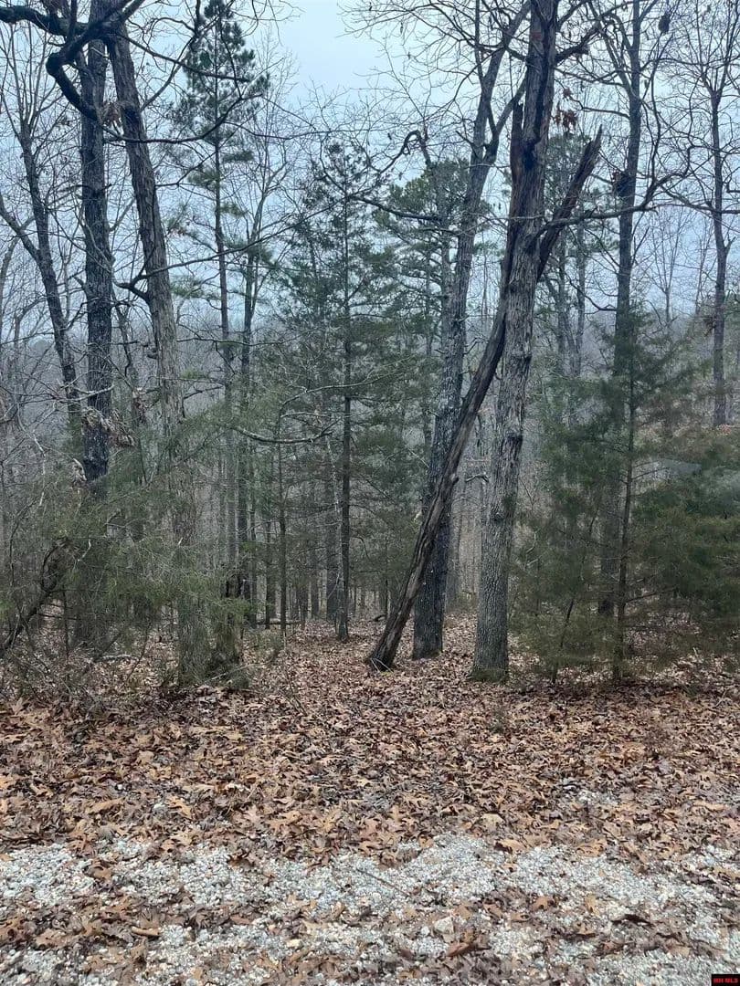Property from 001-08910-007 CR 8107 - KW - Yellville, Arkansas, 72687