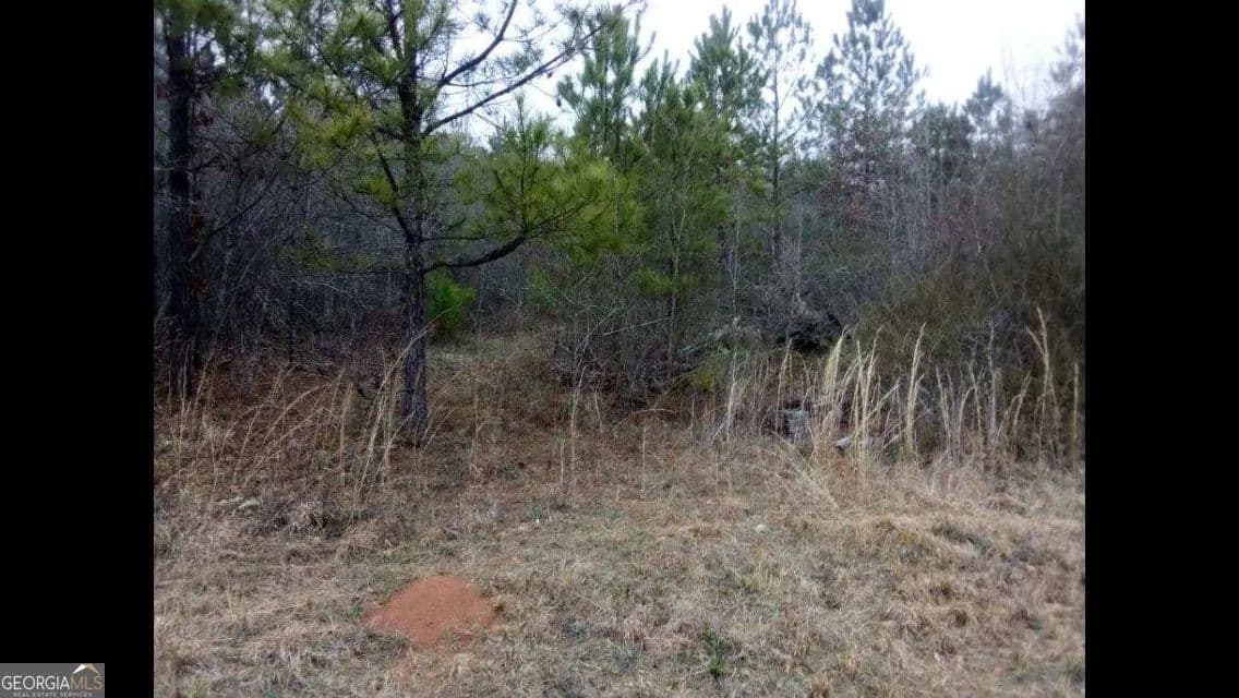 0.4 Acres of Land for Sale in Woodbury, Georgia - Woodbury, Georgia, 30293