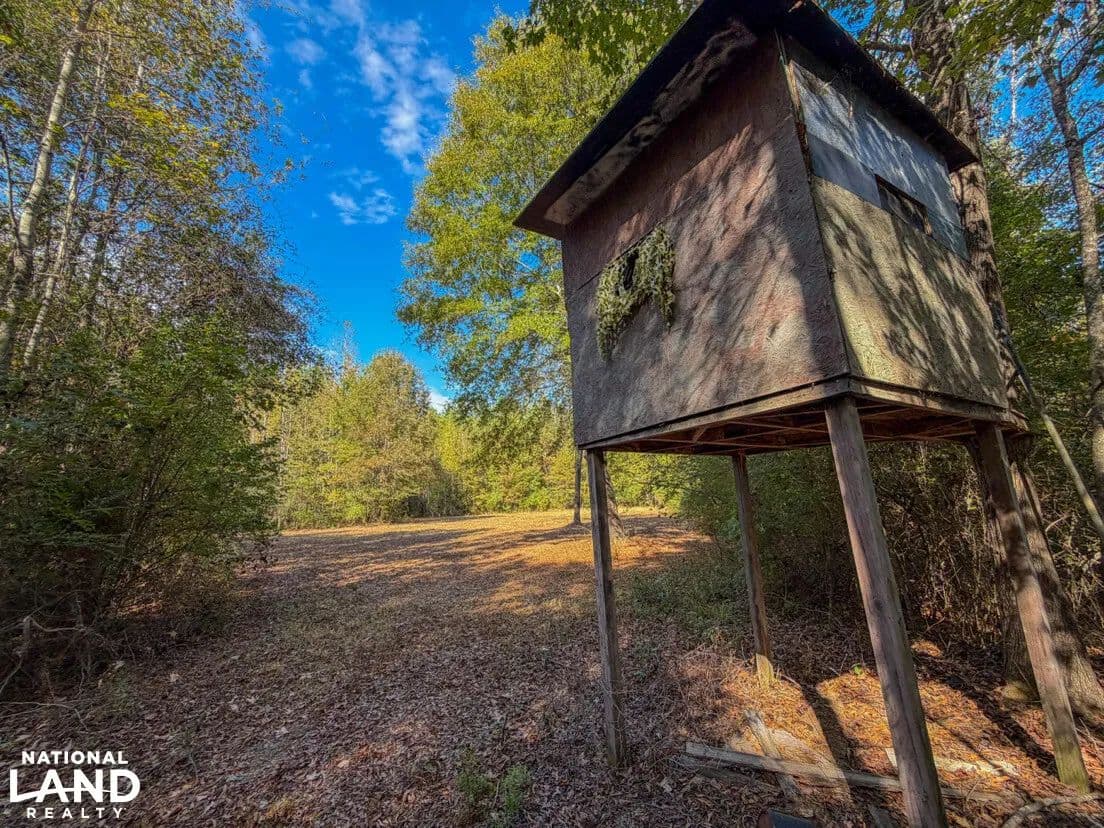 Dallas County Bypass South Tract - Selma, Alabama, 36701