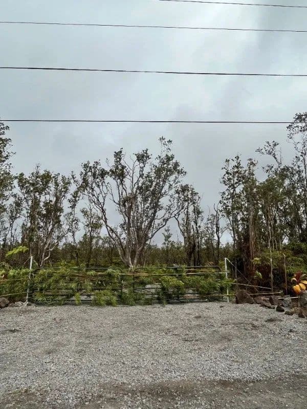 Vacant Land in Volcano - Volcano, Hawaii, 96785
