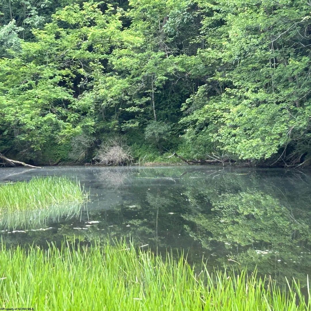 15.9 Acres of Land for Sale in Bruceton Mills, West Virginia - Bruceton Mills, West Virginia, 26525