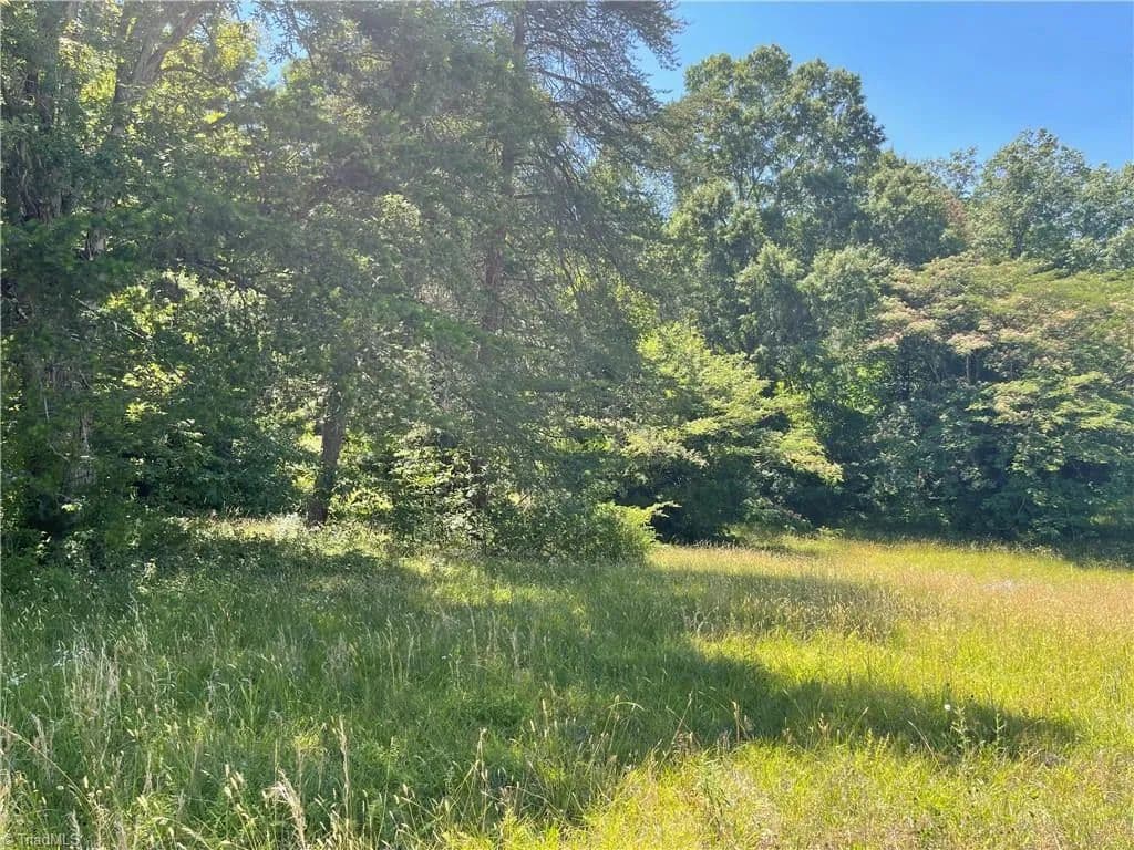 Land for Sale in Lexington, North Carolina - Lexington, North Carolina, 27292