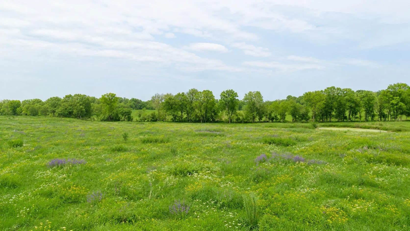 Property from 000 County Road 417 - KW - Alton, Missouri, 65606
