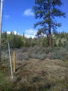 Crowfoot rd 5 acre homesite