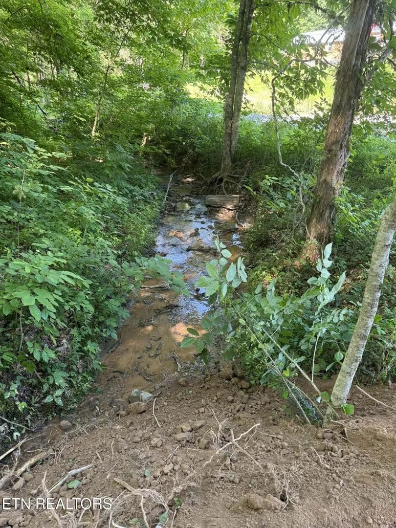 Property from Tower Rd - KW - Tazewell, Tennessee, 37879