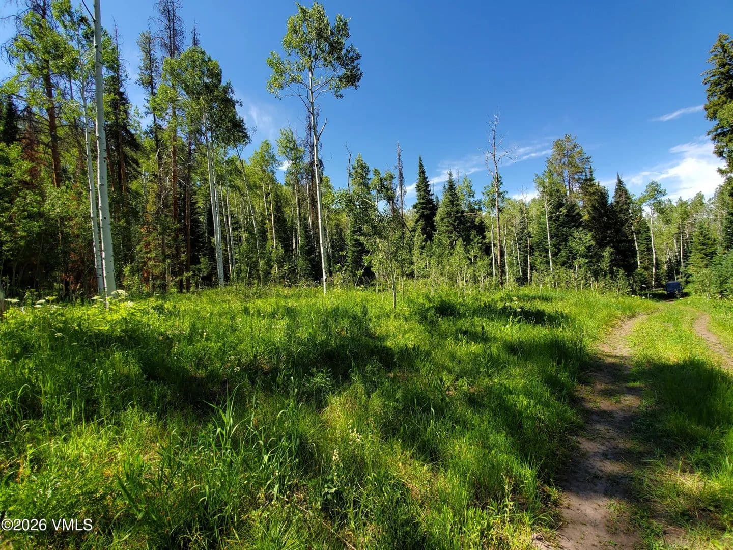 1 Acre of Land for Sale in Oak Creek, CO - Oak Creek, Colorado, 80467