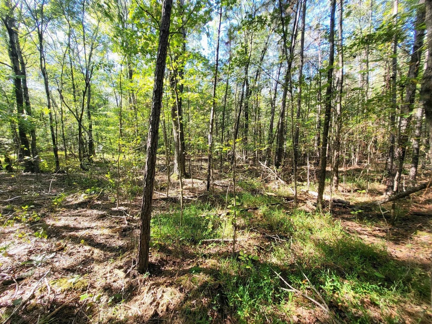 Property from 3 Coal Banks Rd - KW - Sparta, Tennessee, 38583