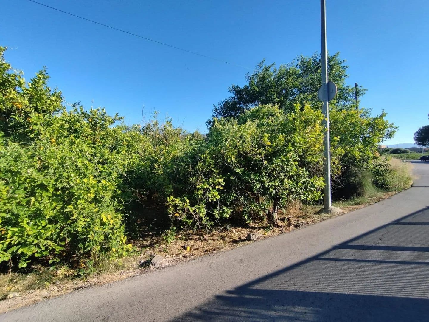 Land for Sale in Beniajan, 2 - land for sale