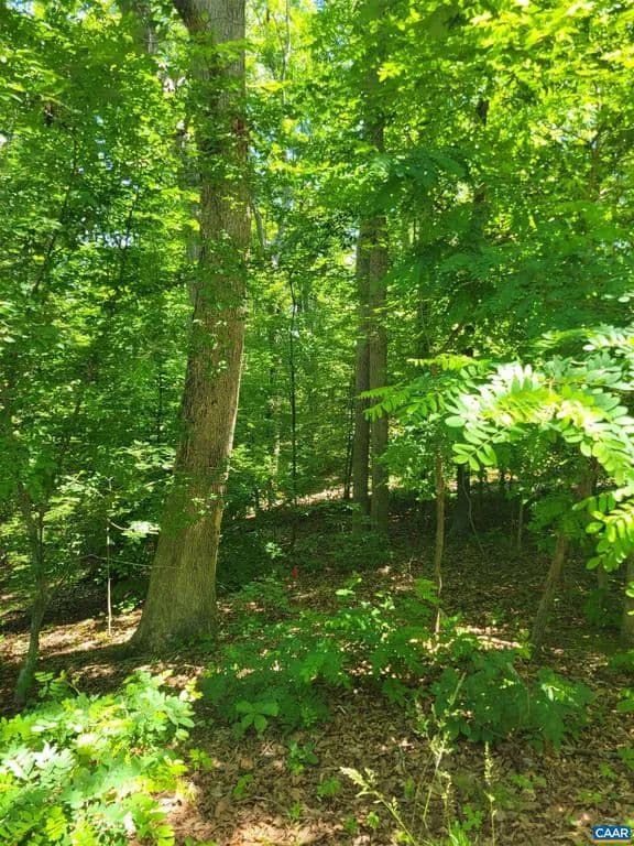 Property from 8 MECHUNK TER - KW - Palmyra, Virginia, 22963