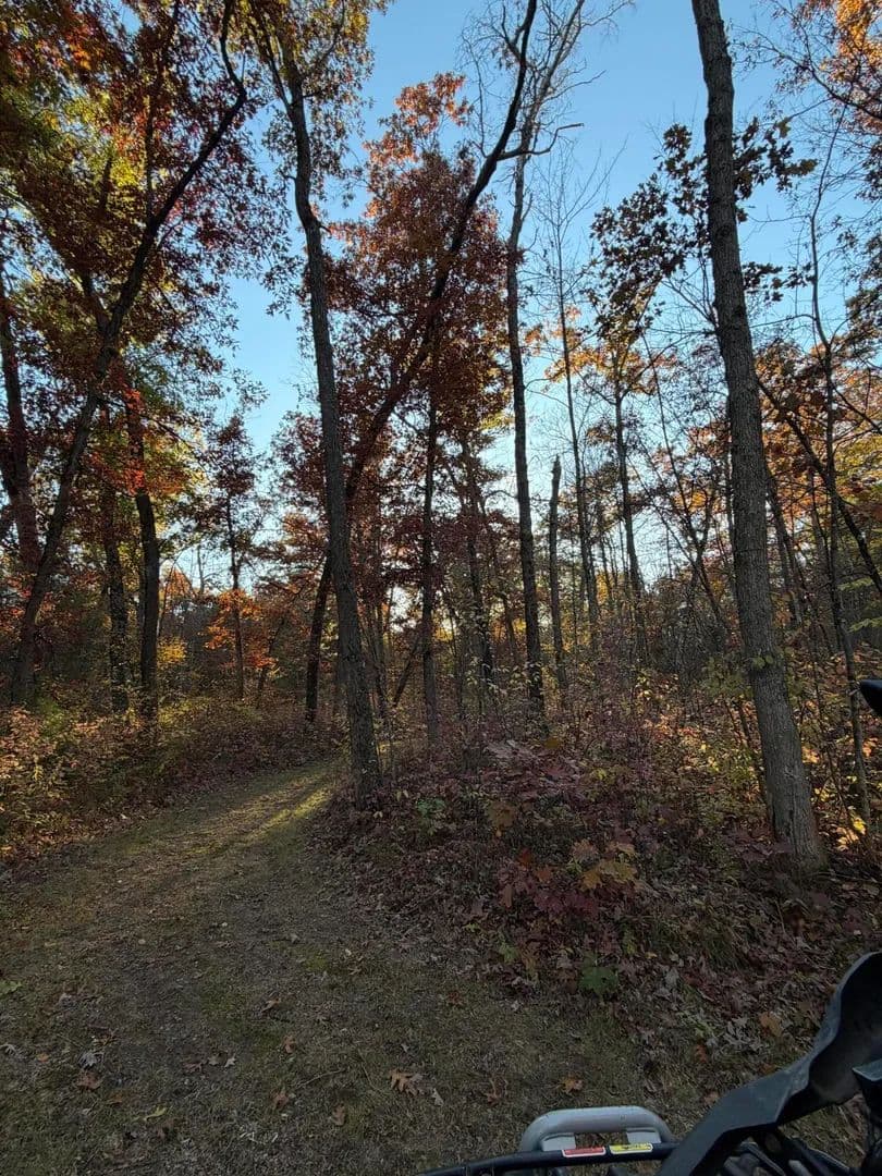 Property from V/L N Tamarack Road - KW - Howard City, Michigan, 49329