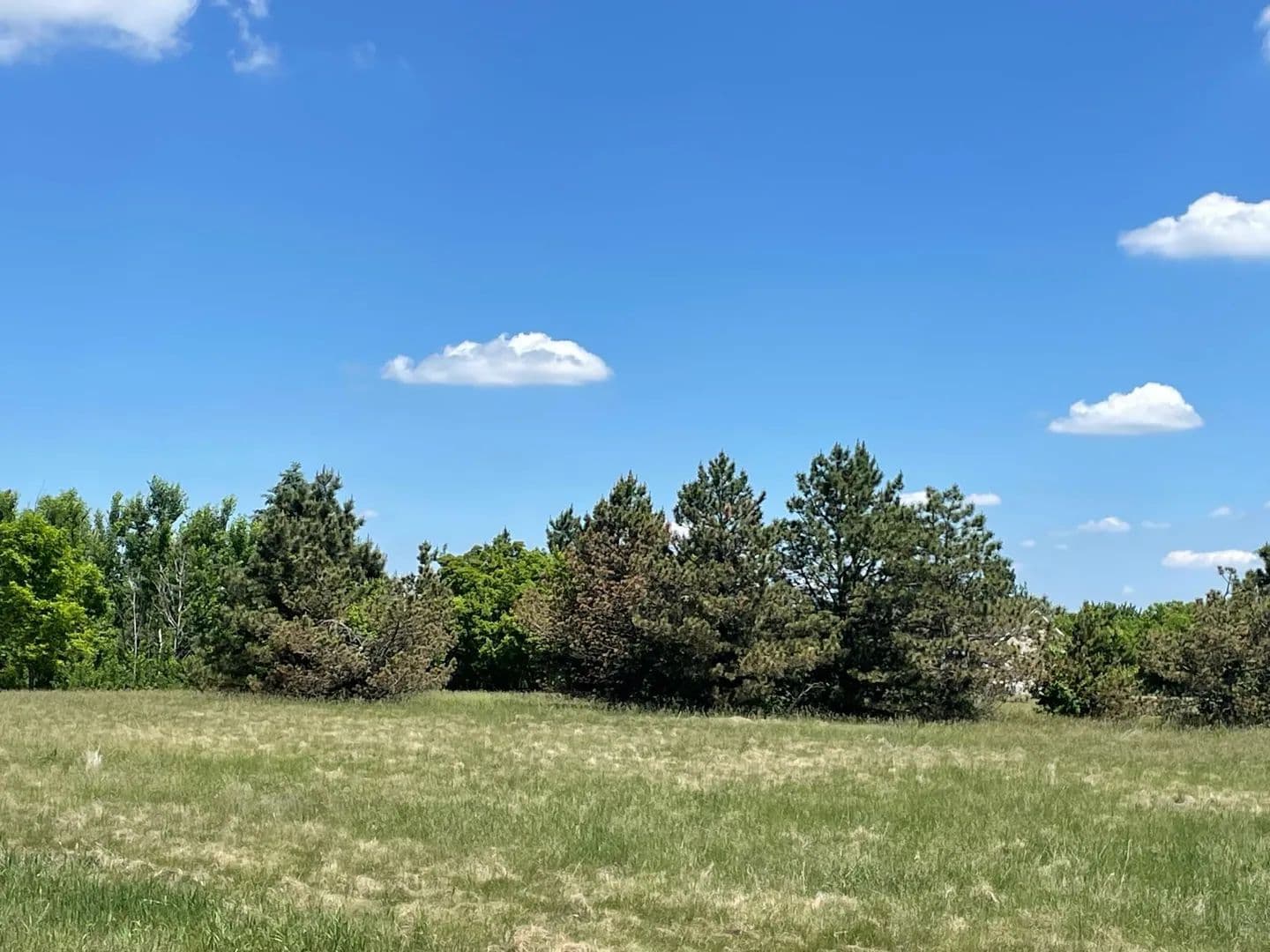 Property from TBD Turtle Creek Circle - KW - Cold Spring, Minnesota, 56320