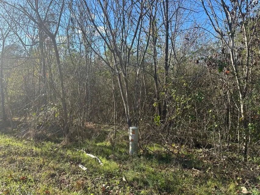 Property from 00 Mt Carmel Road - KW - Decatur, Tennessee, 37322