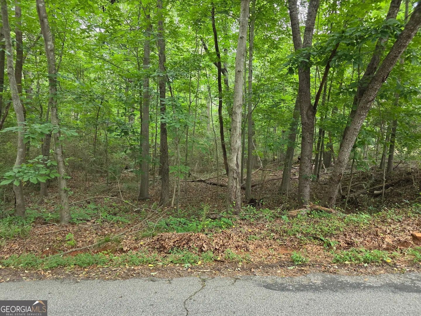 Property from LOT 109 Arrowhead Drive - KW - Lavonia, Georgia, 30553