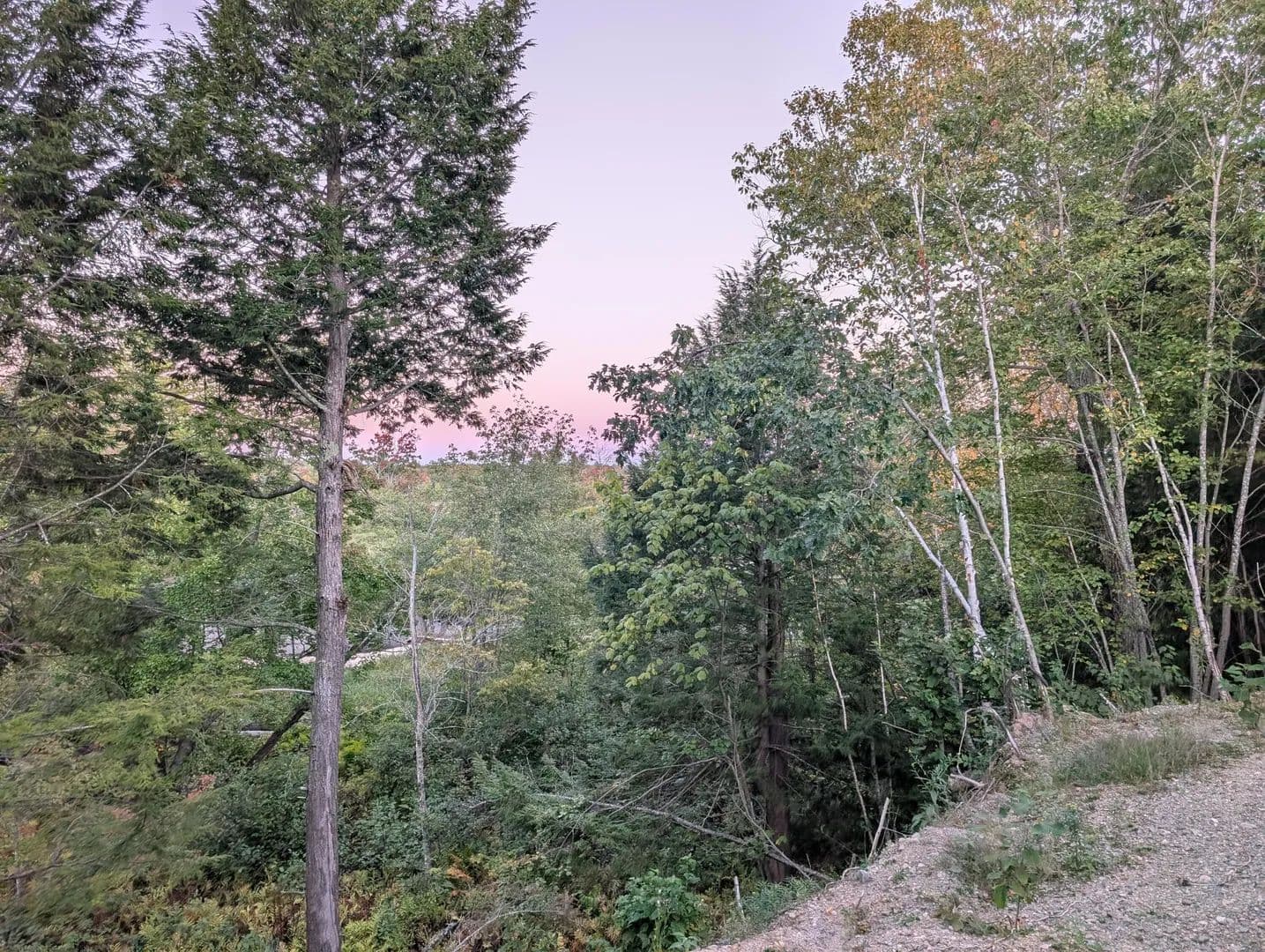 26.76 Acres of Land for Sale in Abbot, Maine - Abbot, Maine, 04406