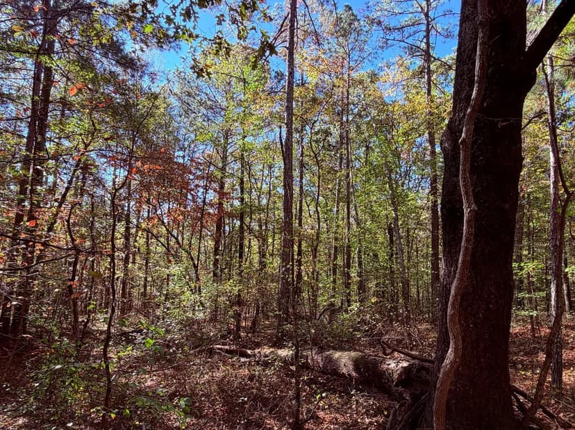 977 Whooping Creek Rd. - Carrollton